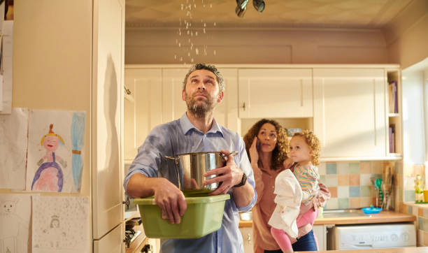 basement drying contractors Greenville, SC